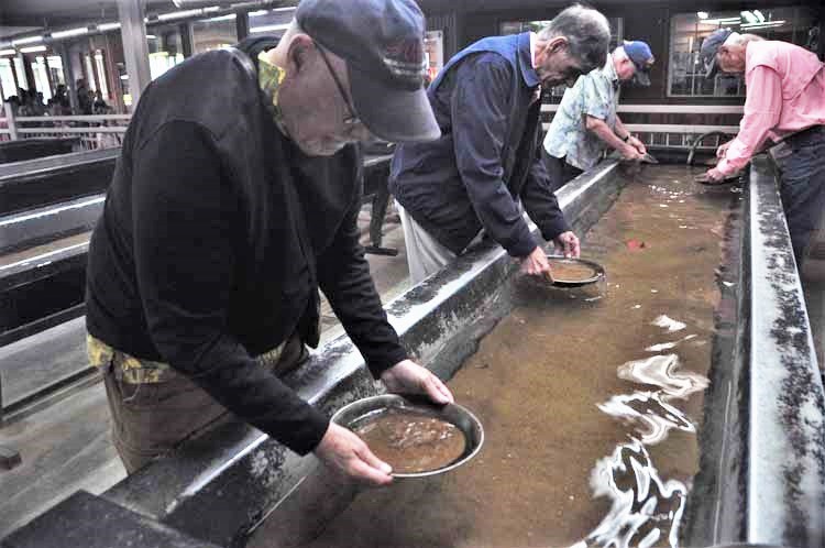 Consolidated Gold Mine